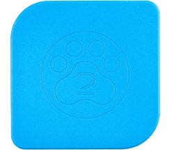Square Wet Tray Medium